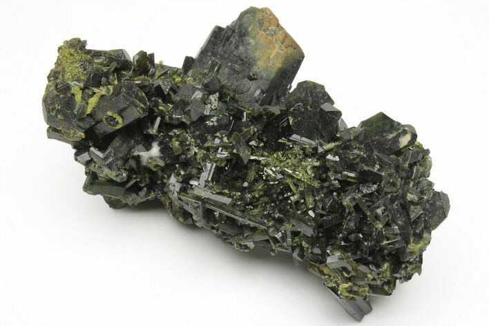 Lustrous, Epidote Crystal Cluster on Actinolite - Pakistan #213438